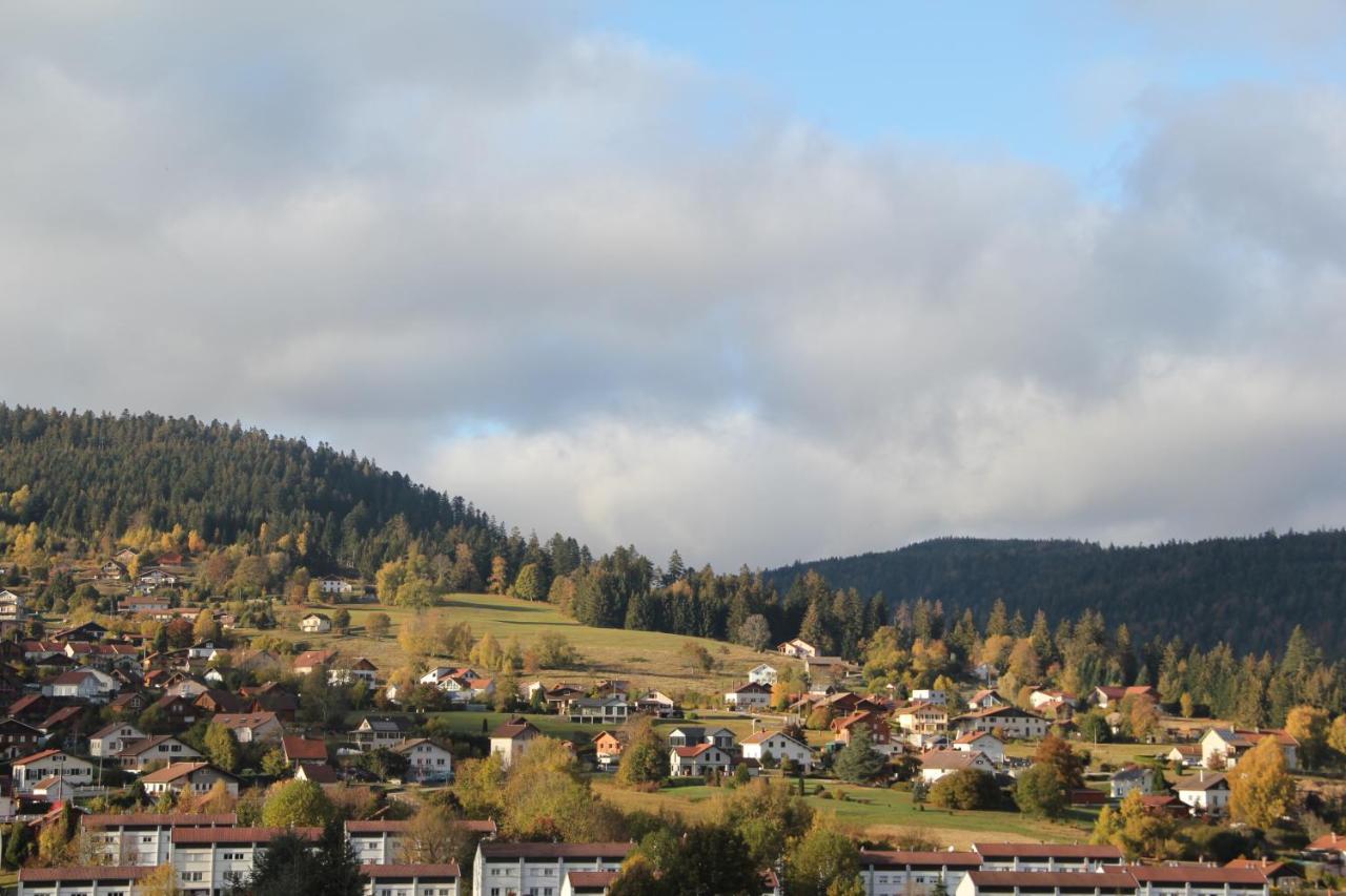 Chalet Du Toit Vosgien ジェラールメ エクステリア 写真